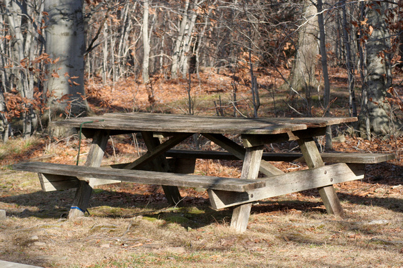 Picnic Table in Fall Woods