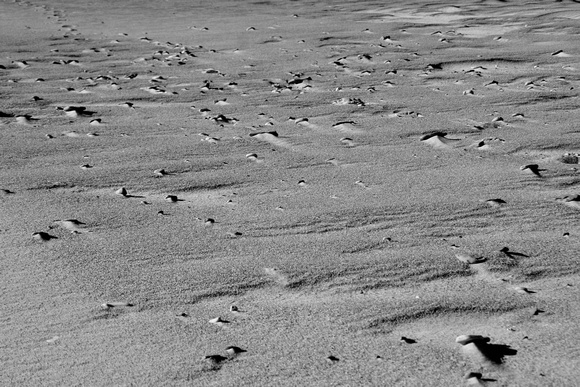 Sand and Stones b&w