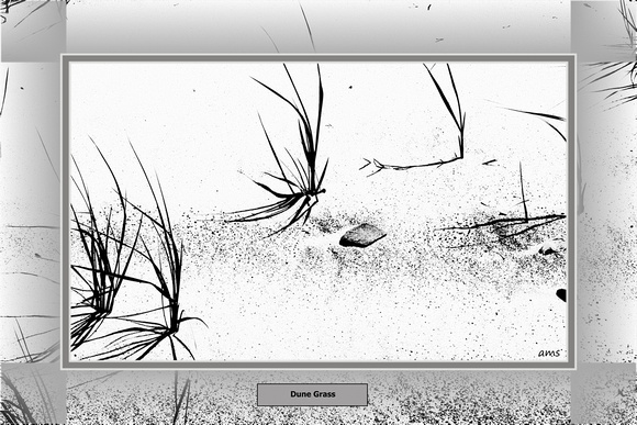 Dune Grass-digitally modified