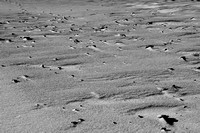 Sand and Stones b&w