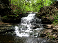 Streams/Waterfalls PRINTS TO 16x20-20x24